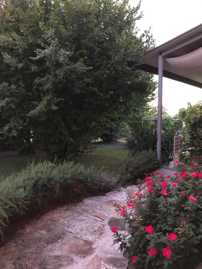 Ca' Borgo Delle Rane Hotel Pernumia Екстериор снимка